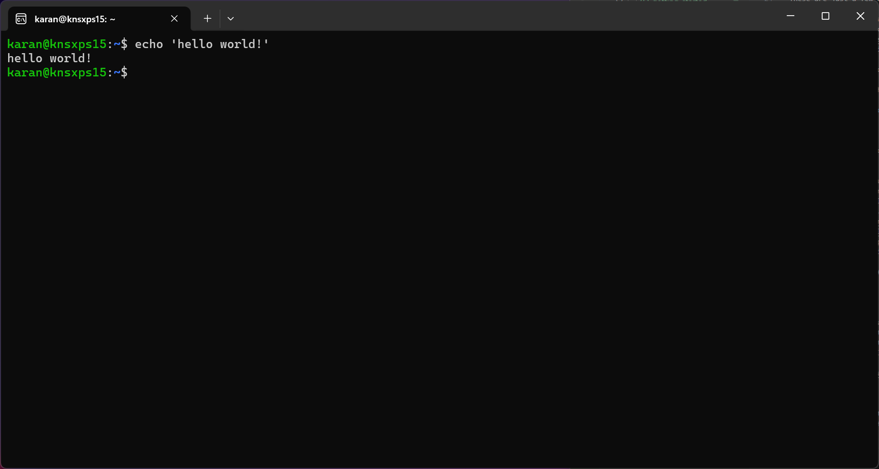 Linux Terminal